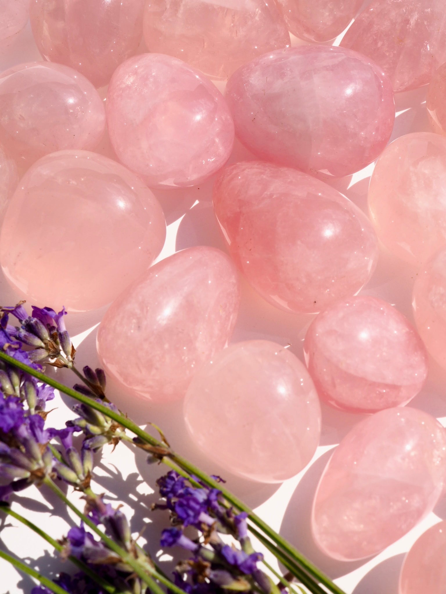 Star Rose Quartz Tumbles