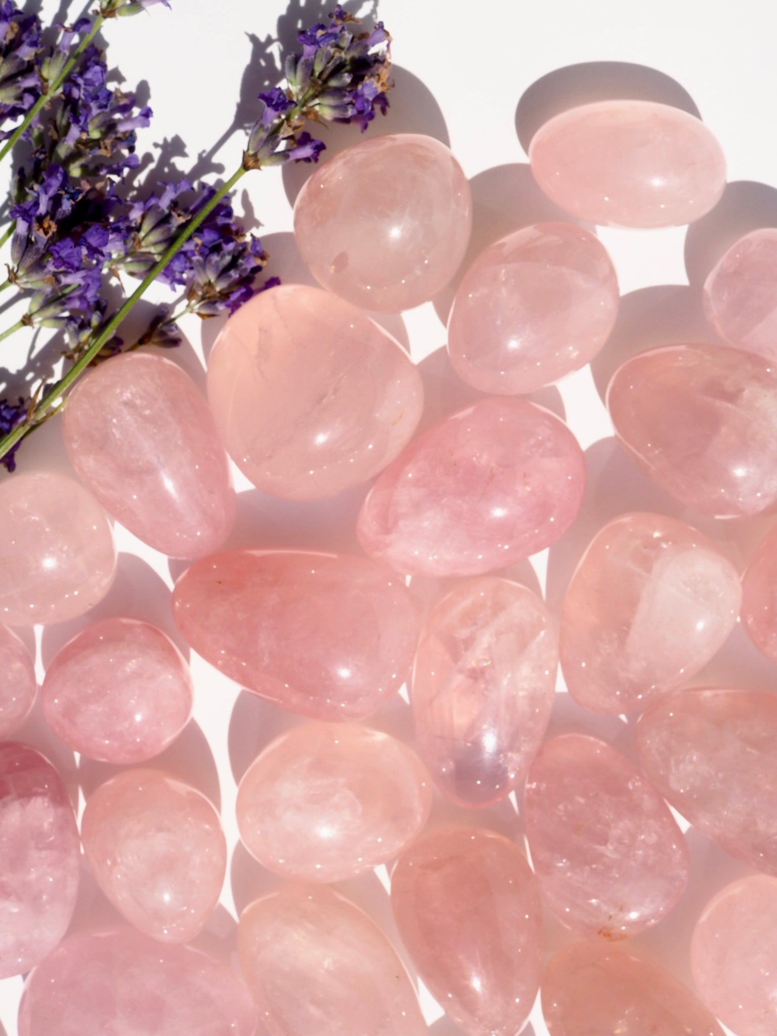 Star Rose Quartz Tumbles