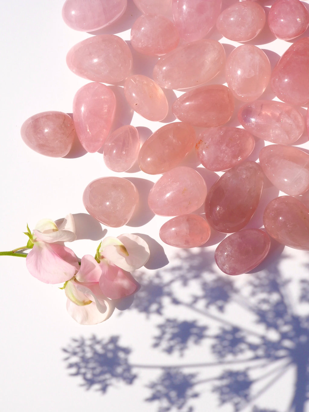 Star Rose Quartz Tumbles
