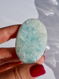 Aquamarine Palms