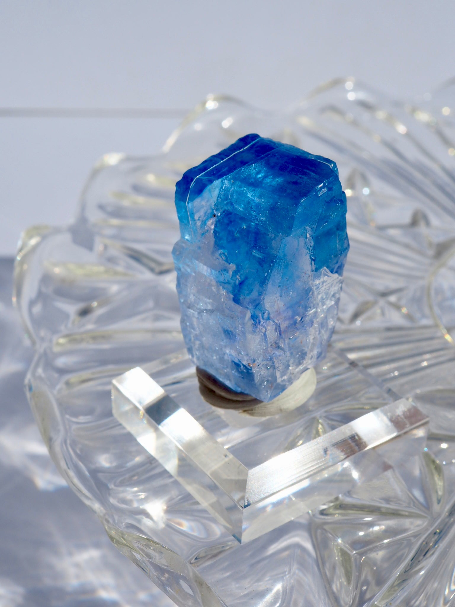 Blue Halite